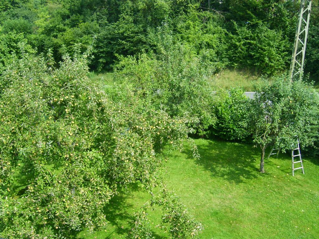 Ferienwohnung Лайхлинген Стая снимка