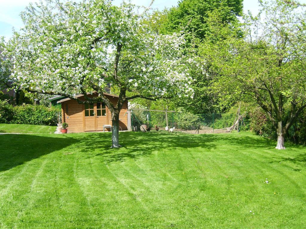 Ferienwohnung Лайхлинген Стая снимка